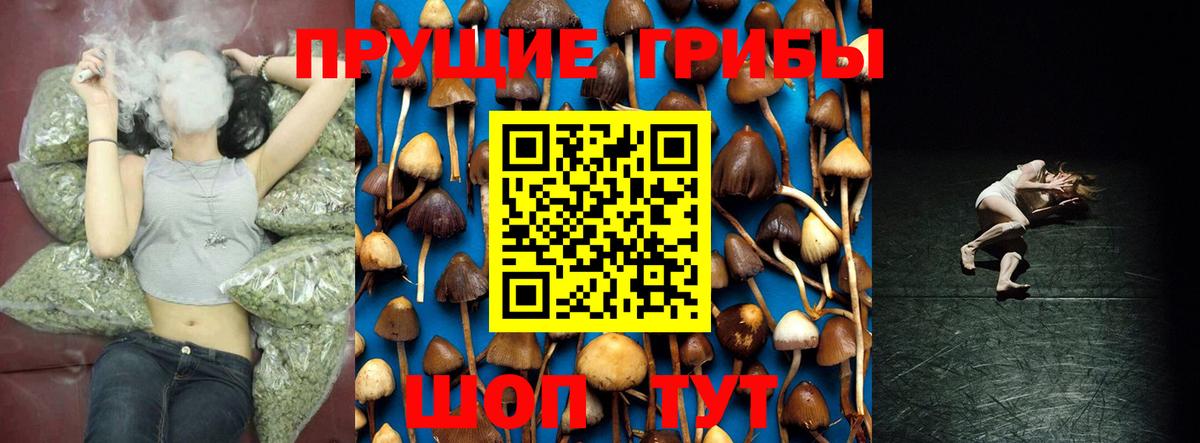 Галлюциногенные грибы мицелий Касимов
