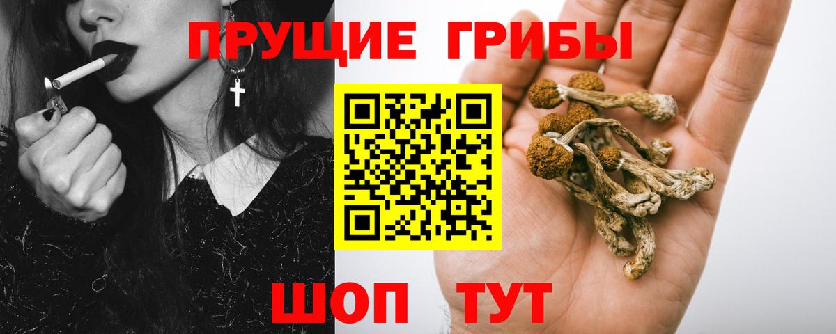 Касимов  купить   Вход с VPN  Псилоцибиновые грибы ЛСД  Псилоцибиновые грибы прущие грибы 